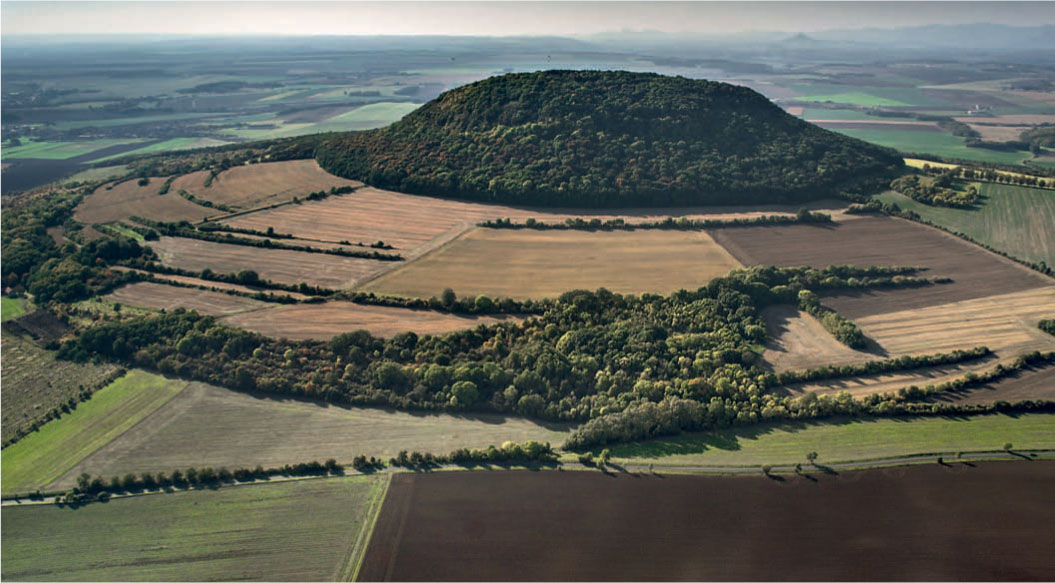 Příspěvek v Živě o vývoji druhové skladby našich lesů v postglaciálním období 