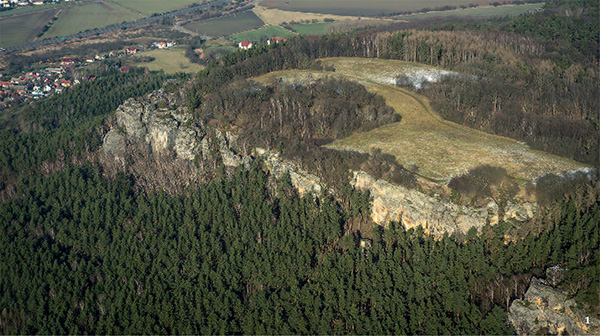 Článek věnující se rozšíření tisu červeného – dřeviny s názvem historicky zaměňovaným s modřínem – vyšel v časopisu Živa